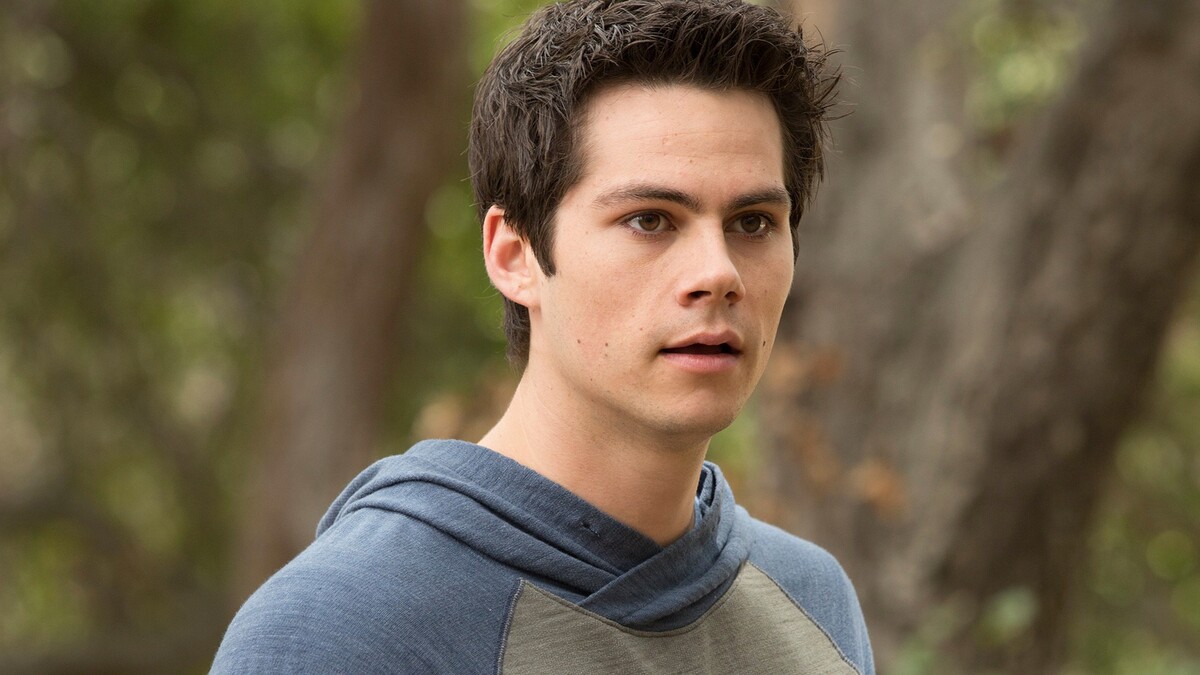 Stiles Fans, Don't Hold Your Breath: He Is Not in Teen Wolf Movie After All