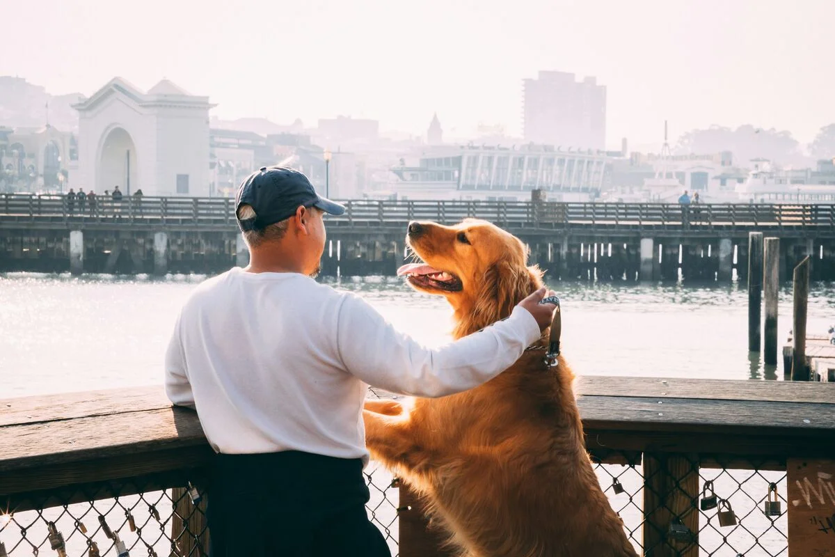 The Exact Words That Instantly Make Your Dog Happy, According to ...