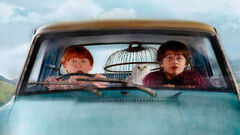If Harry Potter Cared About His Friends, the Saga Would End with The Chamber of Secrets