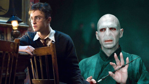 Controversial Harry Potter Theory Says Voldemort Is Actually a Hero