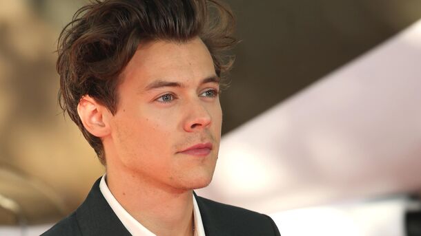 Here's How Harry Styles Describes His Sexuality 