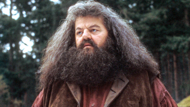 Harry Potter: Hagrid's Entire Existence Was Either a Lie or a Threat to All Wizards