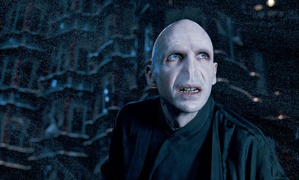 Voldemort's Dumbest Murder Ever Happened in Deathly Hallows