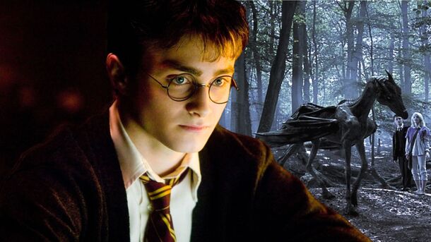 Why Can Harry Potter See the Thestrals?