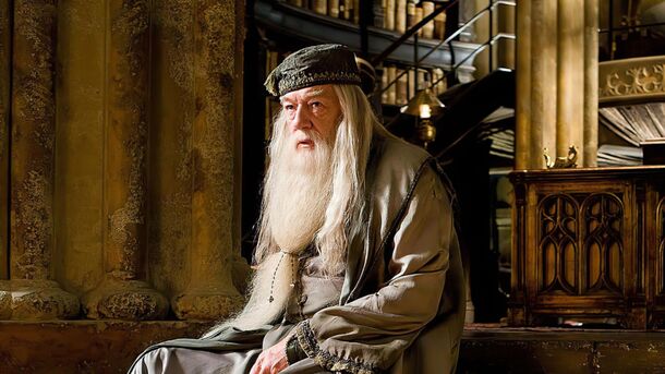 Dumbledore Had a Sneaky Purpose When Selecting Harry's Teachers, Fan Theory Claims