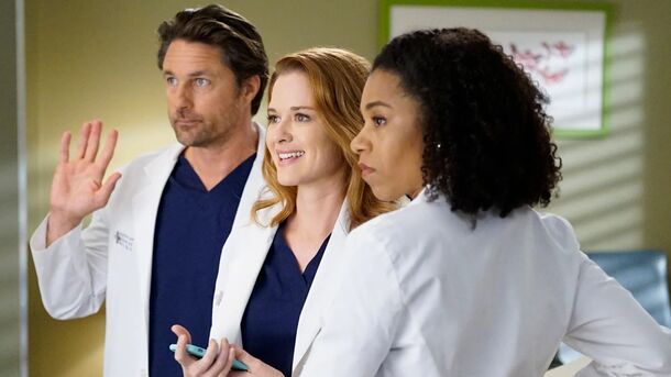 Reddit Has Spoken: These 5 Grey's Anatomy Storylines Were Total Fails