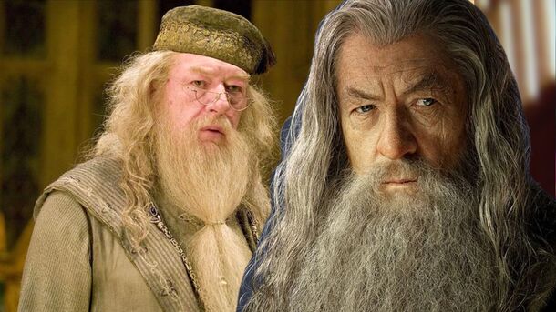 LoTR Star Fearlessly Shades Harry Potter's Most Powerful Wizard