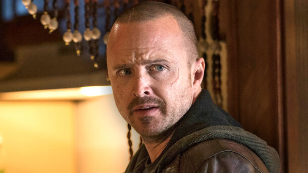 Zero Dollars Is Exactly How Much Aaron Paul Earned From Breaking Bad Streaming on Netflix