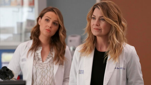 Is Grey's Anatomy Finally Coming to an End After Season 20?