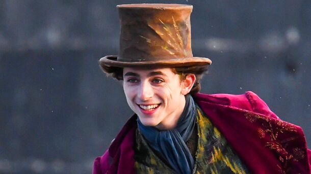 Innocent Timothee Chalamet's Wonka Statement Sparks Outrage Among Fans 