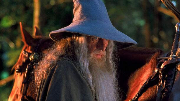Can You Imagine Bumping Into Ian McKellen While Dressed as Gandalf? This Guy Doesn't Have To