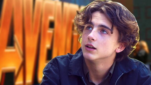 Reddit Just Found A Perfect MCU Role For Timothée Chalamet 