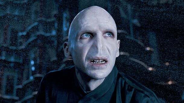 Harry Potter's Weird Scene With Voldemort And Grindelwald Finally Explained