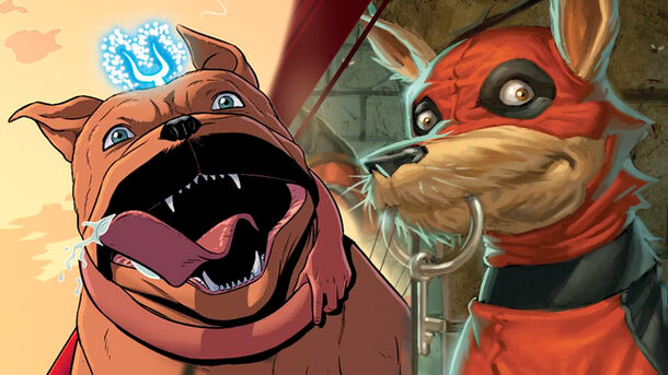 4 Cutest Animal Characters in Marvel We Want to See On Screen