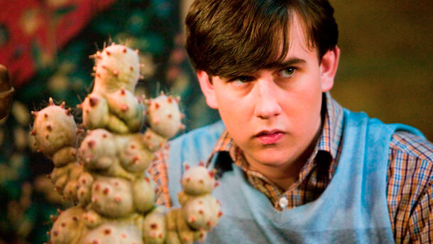 What Happened to Neville Longbottom After Harry Potter Ended & What He’s Doing Now?