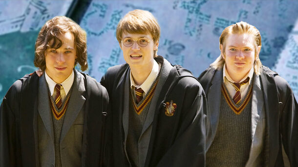 One Unlikely Thing All Four Ex-Marauders Had in Common Till the End in Harry Potter