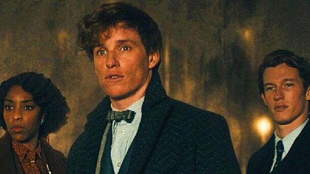 Eddie Redmayne's Reaction to Fantastic Beasts 4 Suggests Franchise Has No Future  