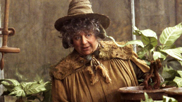 Harry Potter Cast Divided After Miriam Margolyes’ Controversial Take on Adult Fans