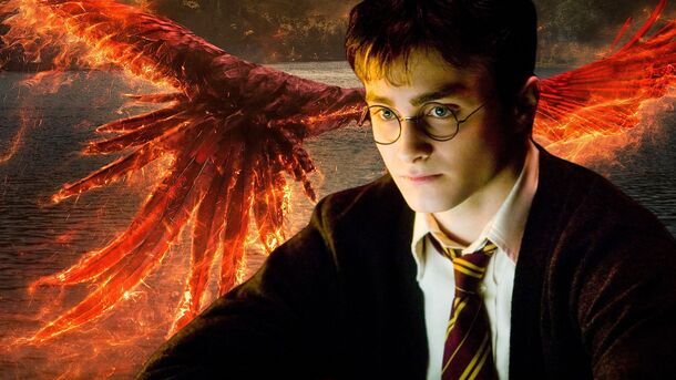 Harry Potter Fans Point Out Biggest Fantastic Beasts Problem