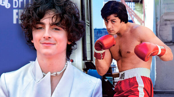 AI Up To Terrible Things: Timothee Chalamet as Rocky Balboa Is Just One Example