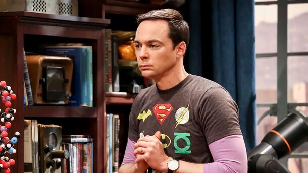 10 Most Rewatchable Episodes of Big Bang Theory, Voted by Reddit