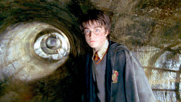 Finally, Here's the Answer to Why the Basilisk's Venom Didn't Destroy the Horcrux in Harry's Body