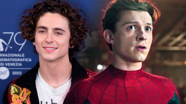 These 7 Actors Could’ve Become MCU's Spider-Man Instead of Tom Holland