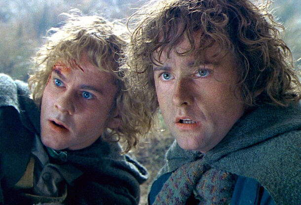Every LotR’s Fellowship Member, Ranked by Their Chances to Destroy the Ring - image 1