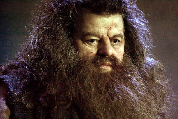 Harry Potter: Hagrid's Entire Existence Was Either a Lie or a Threat to All Wizards - image 1