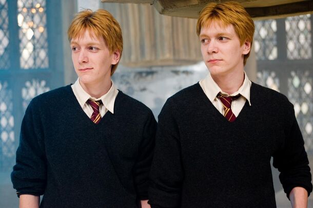 5 Magically Perfect Harry Potter’s Duos, Ranked by Reddit - image 5