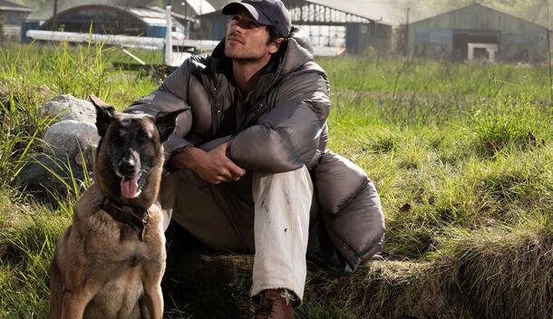 The Dog Stars