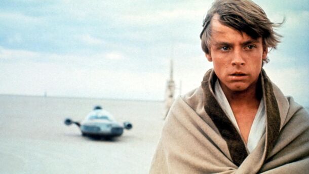 Which Star Wars Character Are You, Based on Your Myers-Briggs? - image 7