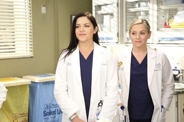 Reddit Has Spoken: These 5 Grey's Anatomy Storylines Were Total Fails - image 1