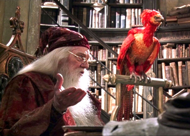 Here’s How Fawkes, Dumbledore’s Phoenix, Was Harry Potter’s Real Hero All Along - image 1