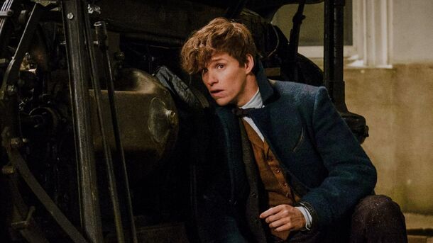 Harry Potter Fans Point Out Biggest Fantastic Beasts Problem - image 1