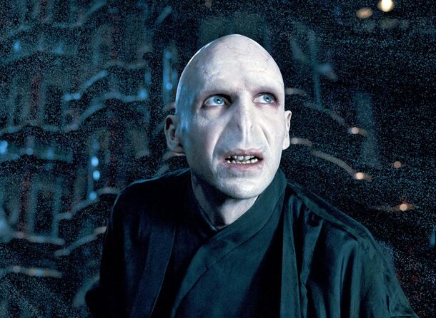 Harry Potter: Biggest Question About Voldemort's Horcruxes Was Never Answered - image 1