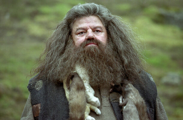 Harry Potter: Hagrid's Entire Existence Was Either a Lie or a Threat to All Wizards - image 2