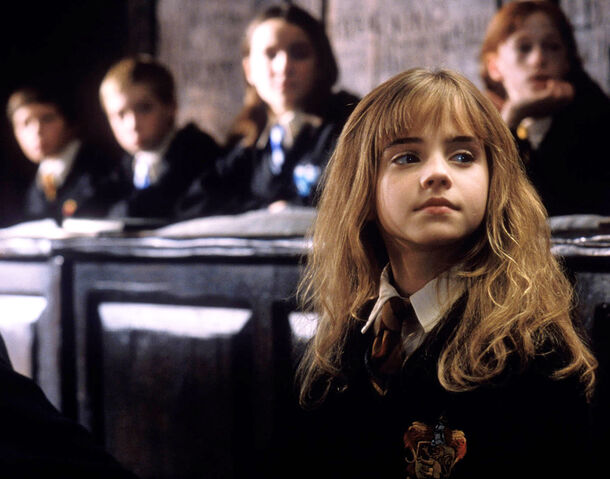 27 Years Later, Harry Potter’s Most Tragic & Forgotten Character Remains Unnoticed - image 3