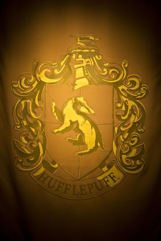 Why Harry Potter Fans Think That Hufflepuffs Are Dumb? - image 2