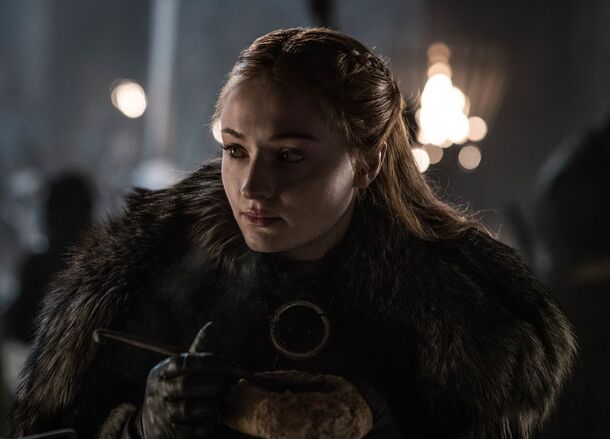 Sophie Turner as Sansa Stark in Game of Thrones (2011). In the books, Sansa is still hiding in the Vale as Alayne Stone