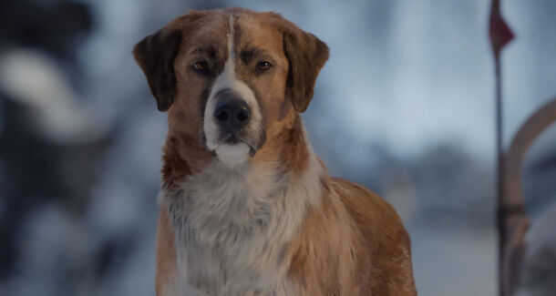 'The Ballad of Buster Scruggs' and 4 Other Best Jack London Adaptations, Ranked by IMDb - image 1