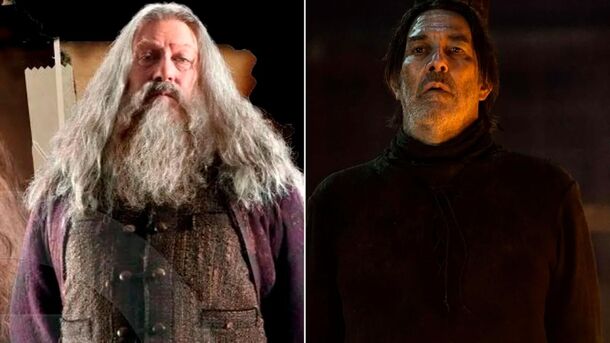 From Hogwarts to Westeros: 4 Actors Who Appeared in Both Cinematic Universes — But Went Unnoticed - image 1