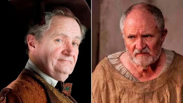 From Hogwarts to Westeros: 4 Actors Who Appeared in Both Cinematic Universes — But Went Unnoticed - image 2