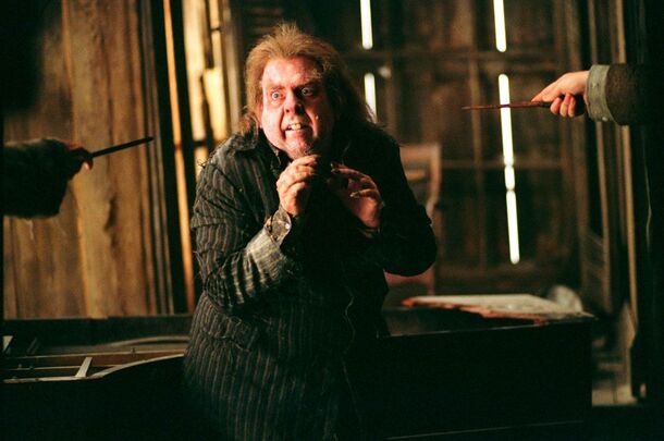 The One Person in Harry Potter Worse Than Voldemort Was Not Who You'd Think - image 1