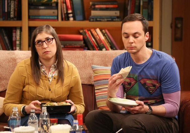 The Big Bang Theory Actress Who Didn't Take Anything From Set For The Funniest Reason - image 1