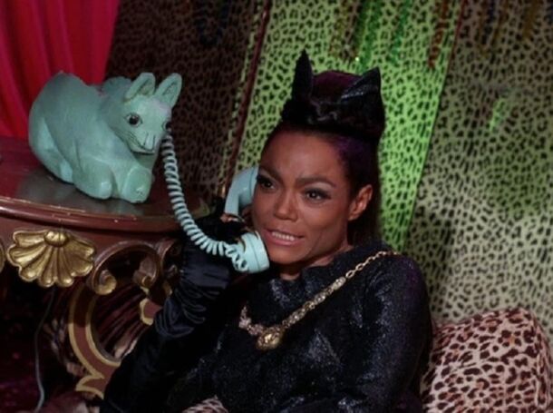 All 8 Stars Who Played Catwoman, Ranked from Domestic to Wild Cat - image 5