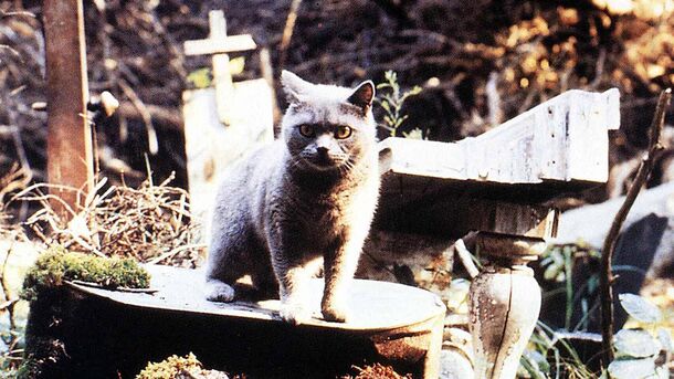 Back in 1980s, Pet Sematary Creators Wanted to Cut 1 Creepy Scene – Stephen King Said No - image 1