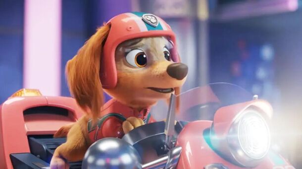 10 ‘Paw Patrol’ Best Characters, Ranked From Nice to Just Cutest - image 3