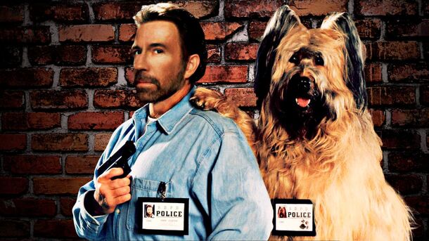 8 Most Underrated Chuck Norris Movies & TV Series, Ranked by IMDb - image 2