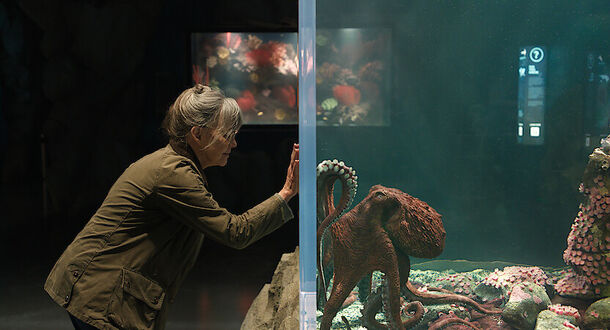 5 Best Netflix Movies Released in the First Half of 2026, Ranked by Rotten Tomatoes - image 4